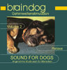 Braindog CD II