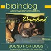 Braindog CD II Download